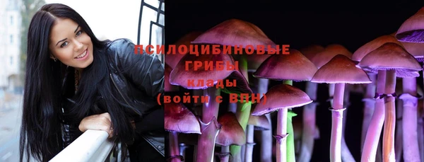 дживик Армянск