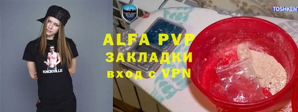 PSILOCYBIN Аркадак