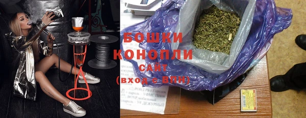PSILOCYBIN Аркадак