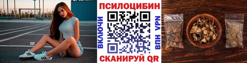 как найти наркотики  Краснодар  Псилоцибиновые грибы прущие грибы 