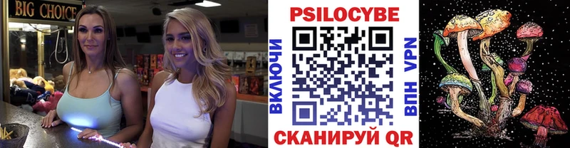 Псилоцибиновые грибы мицелий Краснодар